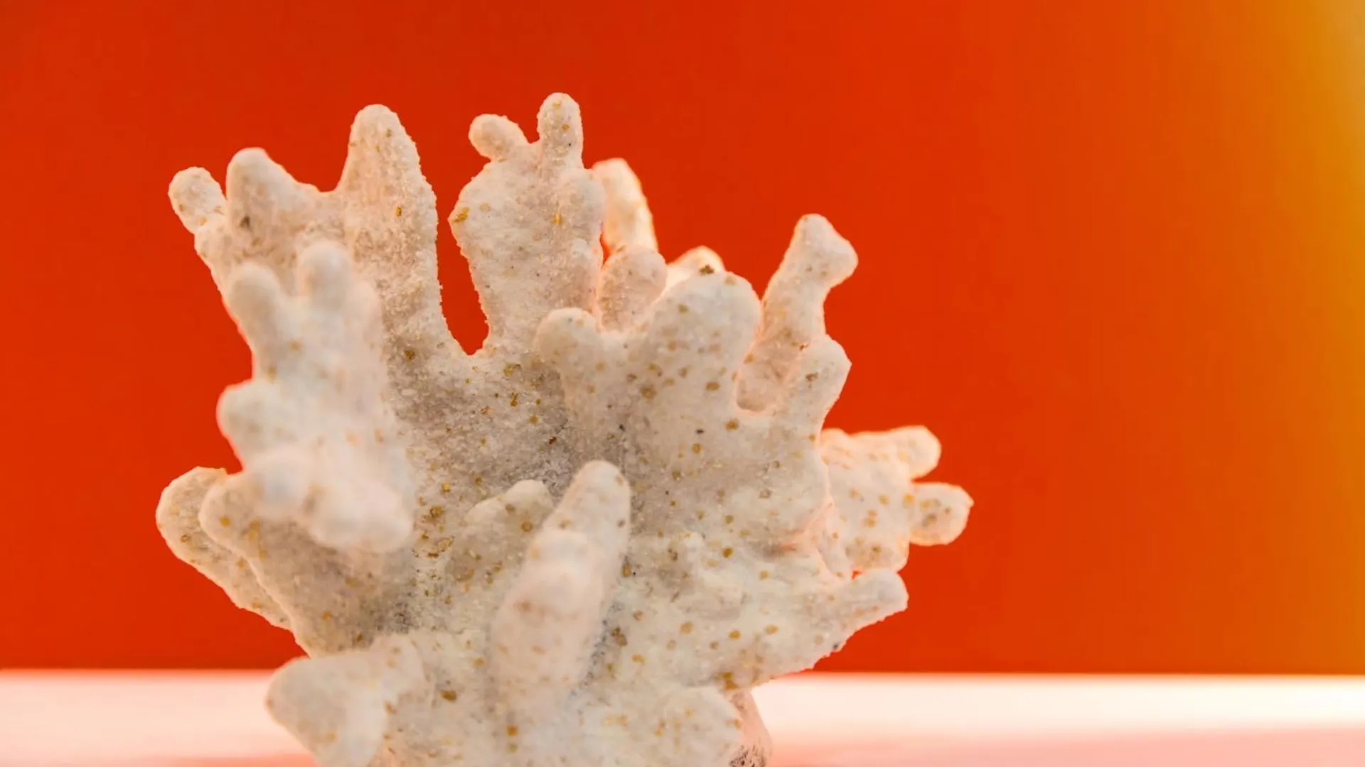 At Twenty-One- Nuovo Appartamento Nel Cuore Di Napoli Coral Italy